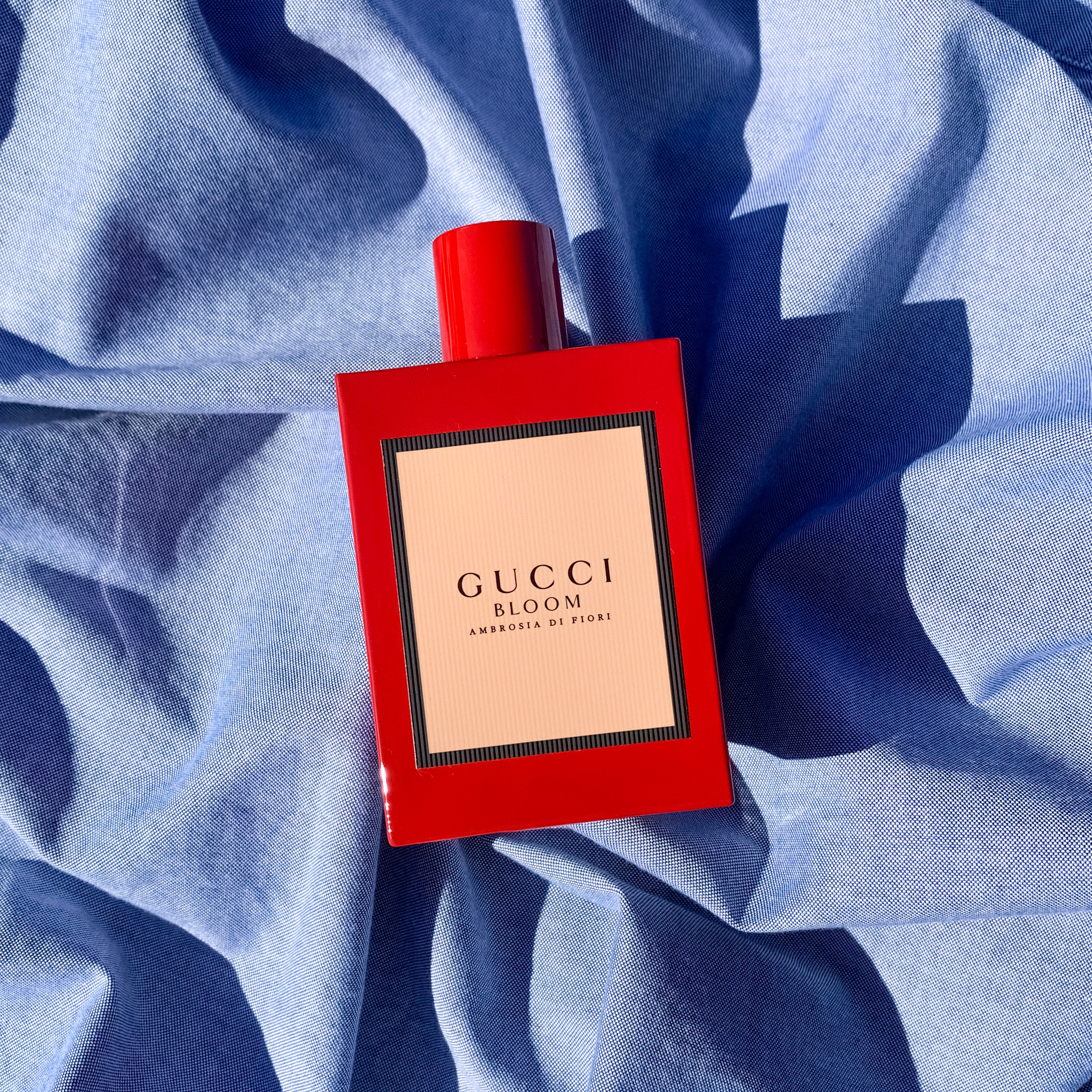 gucci bloom red